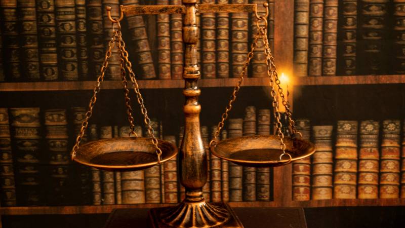 وثيقة الإفصاح ودورها في حماية صاحب الامتياز قبل التعاقد